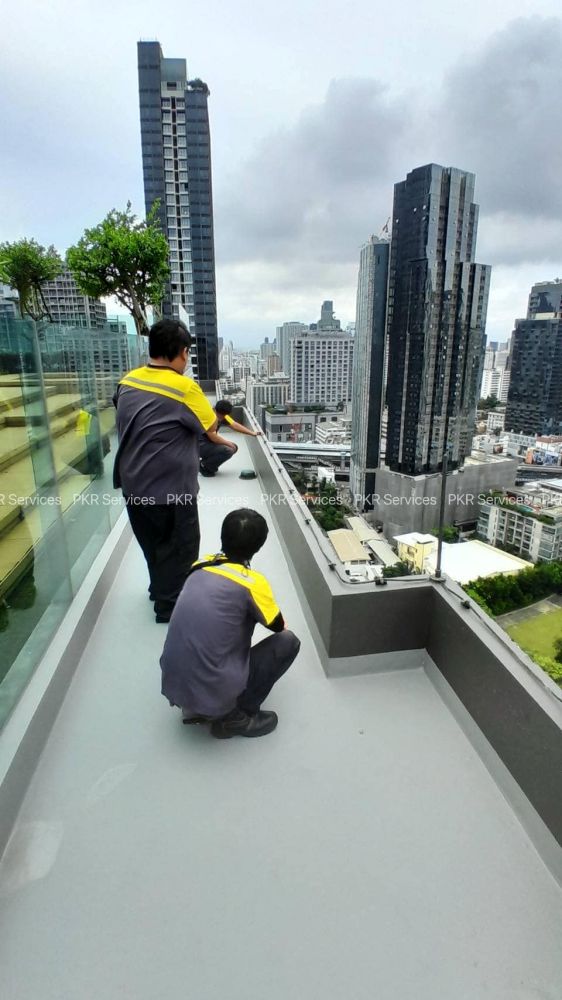 System Preview